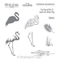 Flamingo-Fantasie von Stampin' Up!