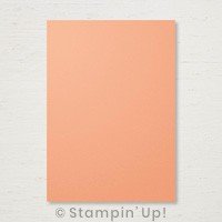 Grapefruit von Stampin' Up!