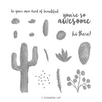 Flowering Desert von Stampin' Up!